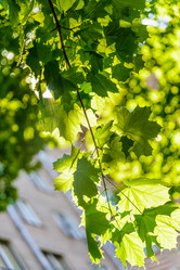 Similar image 19192902