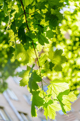 Similar image 19189176