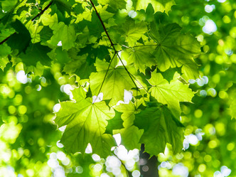 Similar image 19189212