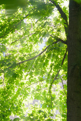 Similar image 19189235