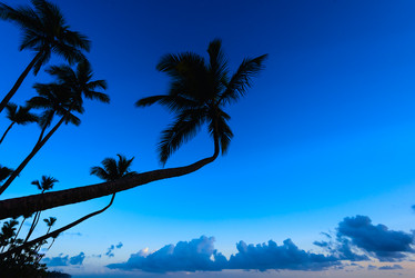 Similar image 19189274