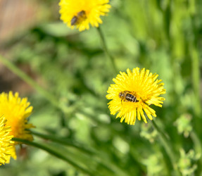 Similar image 19189293