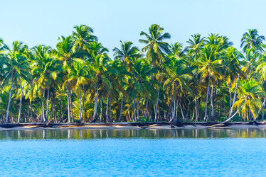 Similar image 19189369