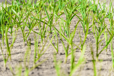 Similar image 19189386