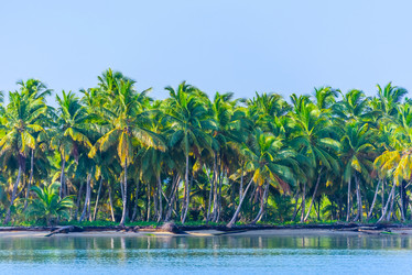 Similar image 19189387