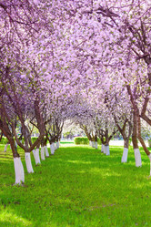 Similar image 19189405