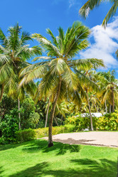 Similar image 19189468