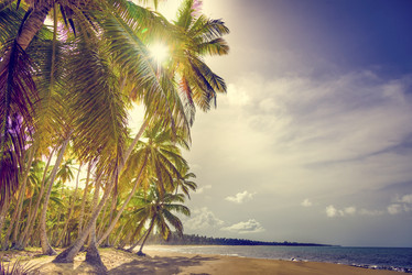 Similar image 19189484