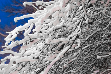 Similar image 19189485