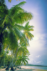 Similar image 19189515