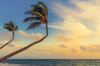 Similar image 19189535