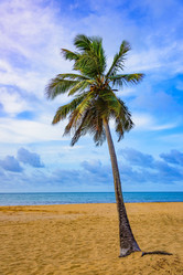 Similar image 19189536