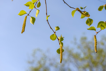 Similar image 19189554