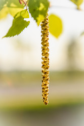 Similar image 19189555