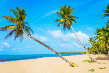 Similar image 19189578