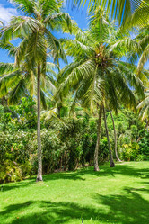 Similar image 19189595