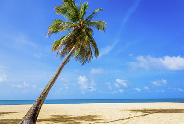 Similar image 19189596