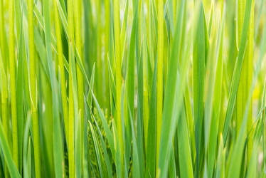 Similar image 19189641