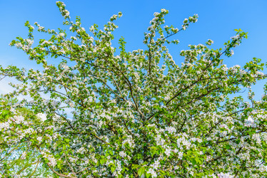 Similar image 19189643