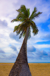 Similar image 19189646