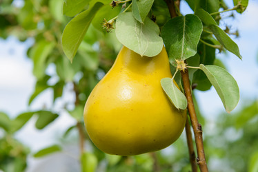 Similar image 19189622