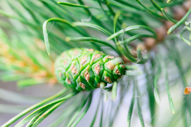 Similar image 19189623