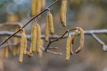 Similar image 19189662