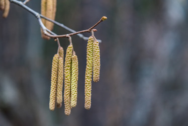 Similar image 19189797