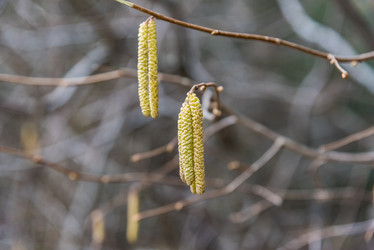 Similar image 19189798