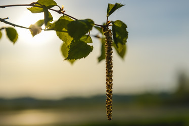 Similar image 19189834