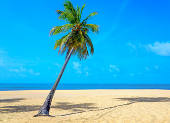 Similar image 19189836