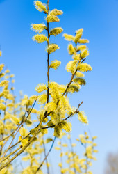 Similar image 19193305