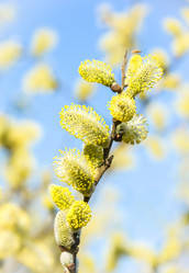 Similar image 19193308