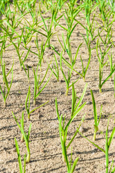 Similar image 19191975