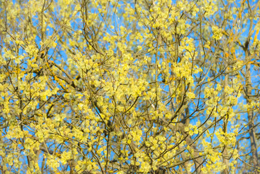 Similar image 19191980