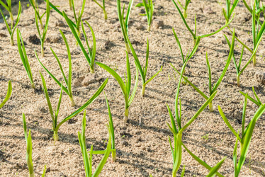 Similar image 19191937