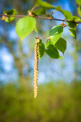 Similar image 19191985