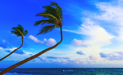 Similar image 19192011