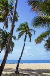 Similar image 19192013