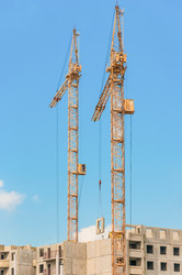 Similar image 19189239