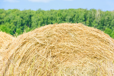 Similar image 19189276