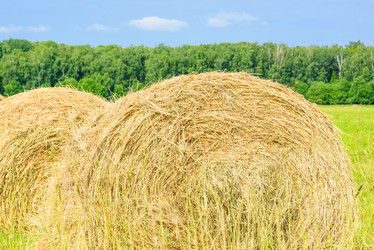 Similar image 19189296