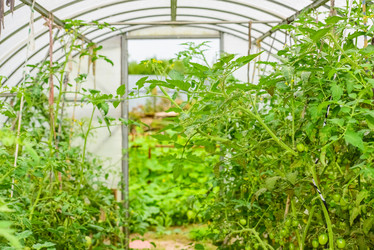 Similar image 19189309