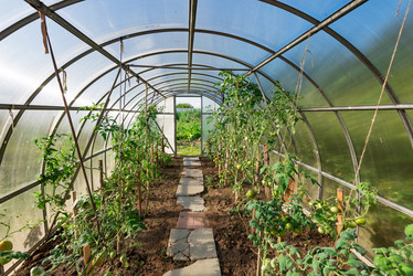 Similar image 19189333