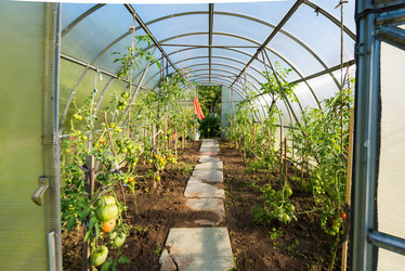 Similar image 19189349