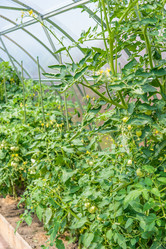 Similar image 19189489