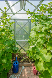 Similar image 19189519