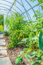 Similar image 19189538