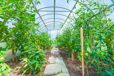 Similar image 19189624