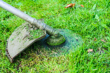 Similar image 19189873